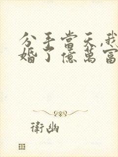 分手当天,我闪婚了亿万富翁