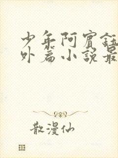 少年阿宾钰慧番外篇小说最新章节列