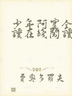 少年阿宾全文阅读在线阅读全文第一季