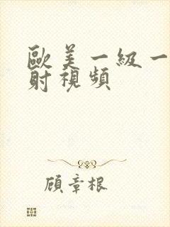 欧美一级一片内射视频