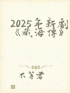 2025年新剧《藏海传》封面