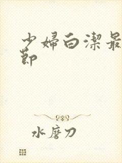 少妇白洁最后章节