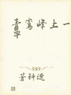 青鸾峰上一剑独尊