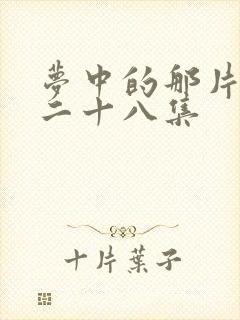 梦中的那片海第二十八集