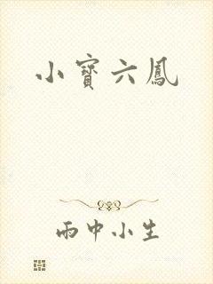 小宝六凤