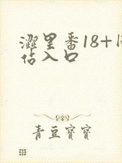 涩里番18+网站入口封面