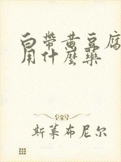 白带黄豆腐渣状用什么药