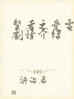 贤者之爱电视剧剧情介绍