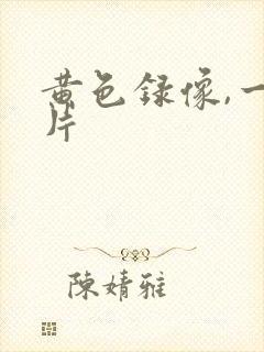 黄色录像,一级片