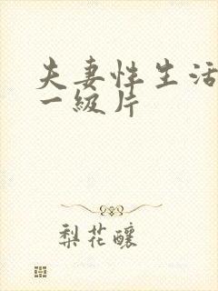 夫妻性生活录像一级片