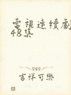 电视连续剧渴望48集