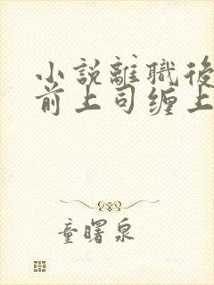 小说离职后我被前上司缠上了在线阅读