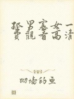 孤男寡女一起免费观看高清电视剧狂