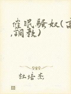 催眠骚奴(高h,调教)