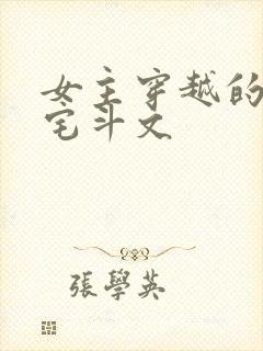 女主穿越的古言宅斗文封面