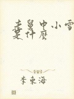 老舅中小雪结局是什么封面