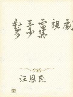 对手电视剧一共多少集