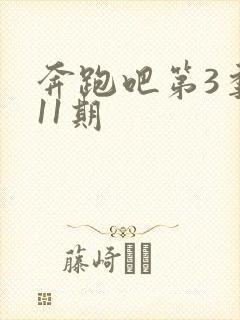 奔跑吧第3季第11期封面