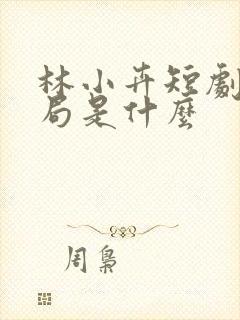 林小卉短剧大结局是什么封面