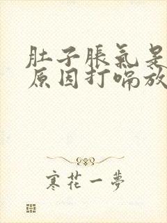 肚子胀气是什么原因打嗝放屁舒服些