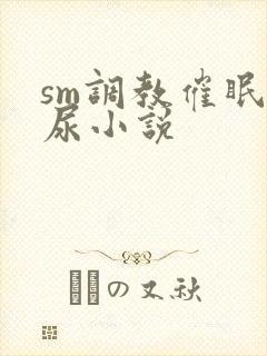 sm调教催眠憋尿小说