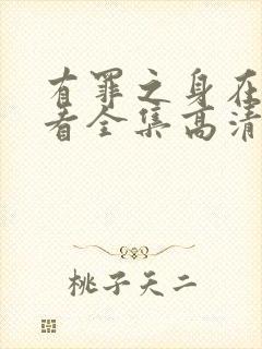 有罪之身在线观看全集高清免费