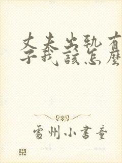 丈夫出轨有私生子我该怎么办封面