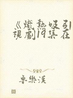 《炽热吸引》电视剧19集在线观看