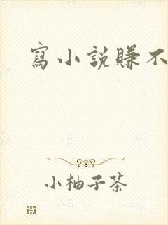 写小说赚不了钱