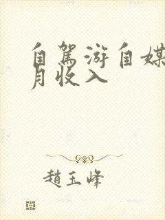 自驾游自媒体一月收入