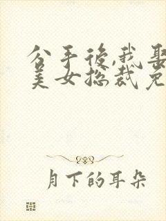 分手后,我娶了美女总裁免费阅读正版