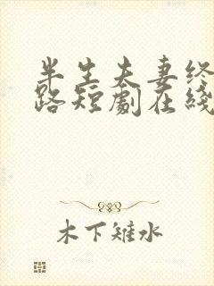 半生夫妻终成陌路短剧在线观看