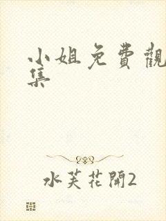 小姐免费观看全集封面