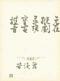 护宝寻踪免费观看电视剧在线播放封面