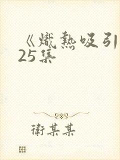 《炽热吸引》第25集