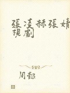 张凌赫张婧仪电视剧