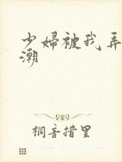 少妇被我弄到高潮