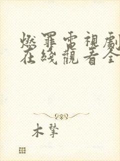 燃罪电视剧免费在线观看全集