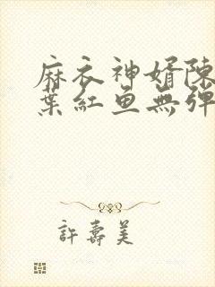 麻衣神婿陈黄皮叶红鱼无弹窗