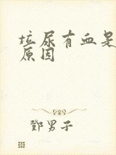 垃尿有血是什么原因