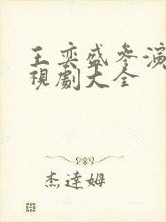 王奕盛参演的电视剧大全