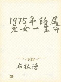 1975年的属兔女一生命运怎么样
