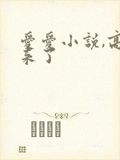 爱爱小说,高潮来了