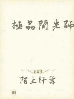 极品开光师封面
