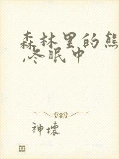 森林里的熊先生 ,冬眠中