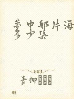 梦中那片海一共多少集