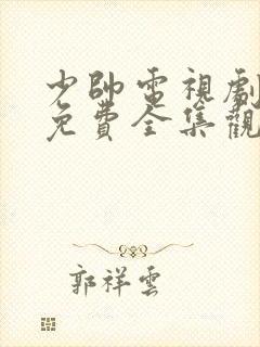 少帅电视剧手机免费全集观看