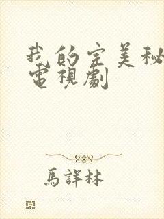 我的完美秘书 电视剧