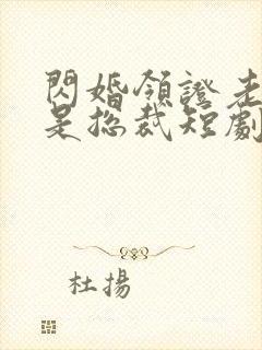 闪婚领证老公竟是总裁短剧封面