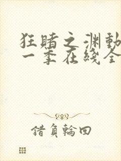 狂赌之渊动漫第一季在线全集免费观看